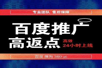 SEM推广技巧：成功案例深度剖析